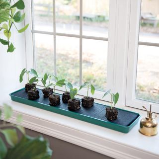 Self-Watering Windowsill Tray Thumbnail